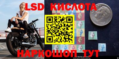 прущие крисы Будённовск