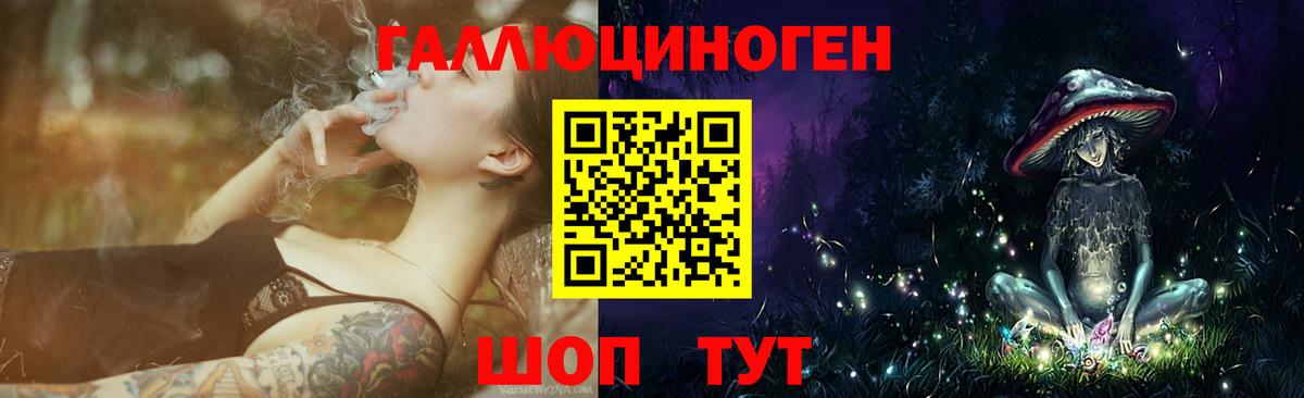 закладка  Вход с VPN  Междуреченск  Галлюциногенные грибы Psilocybe 